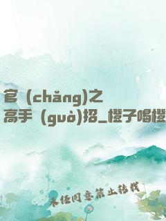 官場(chǎng)之高手過(guò)招