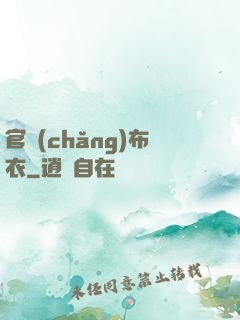 官場(chǎng)布衣