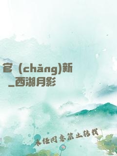官場(chǎng)新貴