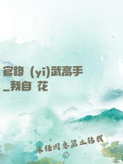 官路醫(yī)武高手