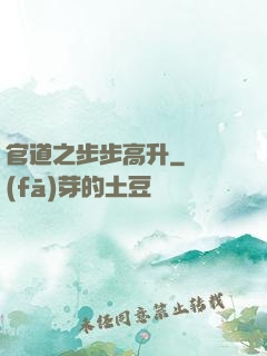 官道之步步高升