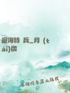 宦海特種兵