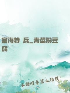 宦海特種兵