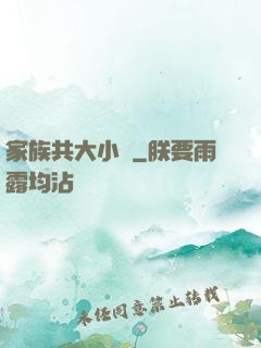 家族共大小說