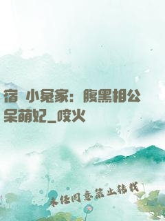 宿敵小冤家：腹黑相公呆萌妃