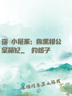 宿敵小冤家：腹黑相公呆萌妃