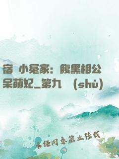 宿敵小冤家：腹黑相公呆萌妃