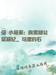 宿敵小冤家：腹黑相公呆萌妃