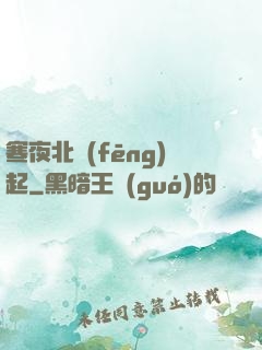 寒夜北風(fēng)起