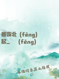 寒夜北風(fēng)起