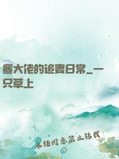 寒大佬的追妻日常