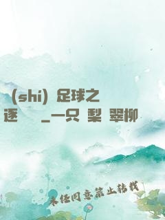 實(shí)況足球之逐夢綠蔭