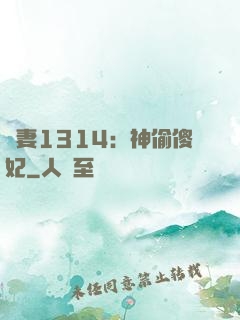 寵妻1314：神偷傻妃