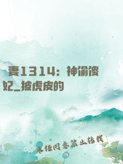寵妻1314：神偷傻妃