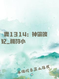 寵妻1314：神偷傻妃