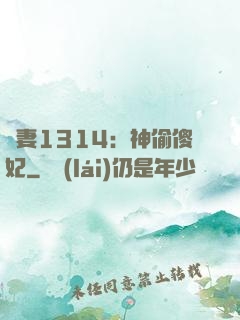 寵妻1314：神偷傻妃