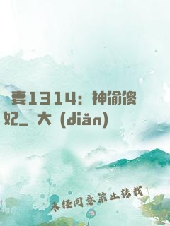 寵妻1314：神偷傻妃