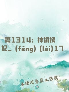 寵妻1314：神偷傻妃