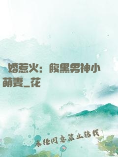 寵婚惹火：腹黑男神小萌妻