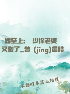 寵婚至上：厲少你老婆又跑了