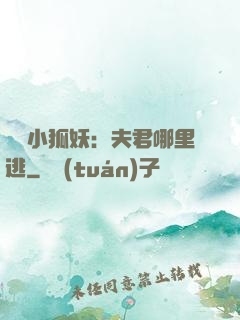 寵寵小狐妖：夫君哪里逃