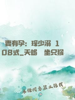 寶妻有孕：琛少溺寵108式