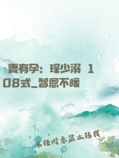 寶妻有孕：琛少溺寵108式