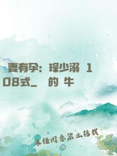 寶妻有孕：琛少溺寵108式