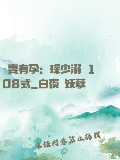 寶妻有孕：琛少溺寵108式