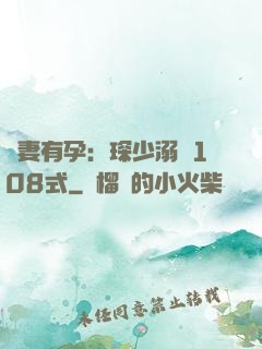 寶妻有孕：琛少溺寵108式