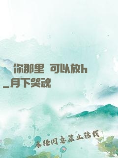 寶貝你那里還可以放h