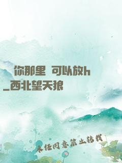 寶貝你那里還可以放h
