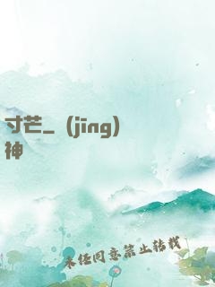寸芒
