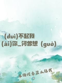 對(duì)不起我愛(ài)你