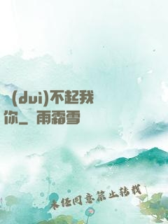 對(duì)不起我愛你