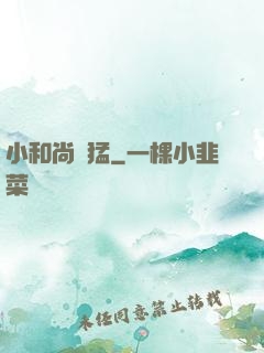 小和尚兇猛