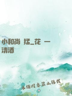 小和尚兇猛
