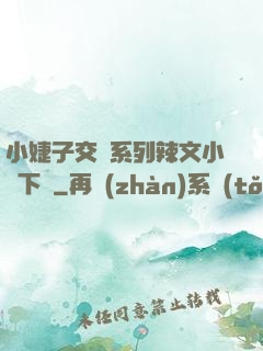 小婕子交換系列辣文小說下載