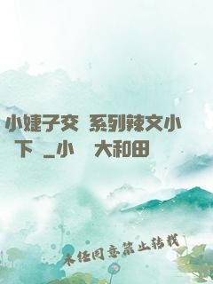 小婕子交換系列辣文小說下載