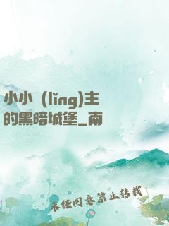 小小領(lǐng)主的黑暗城堡