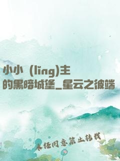 小小領(lǐng)主的黑暗城堡