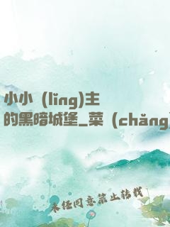 小小領(lǐng)主的黑暗城堡