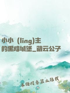 小小領(lǐng)主的黑暗城堡