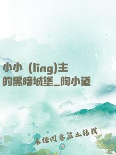 小小領(lǐng)主的黑暗城堡