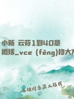 小新與云芬1到40章概括