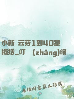 小新與云芬1到40章概括