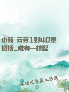小新與云芬1到40章概括