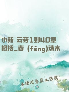 小新與云芬1到40章概括