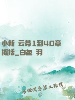 小新與云芬1到40章概括
