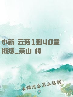 小新與云芬1到40章概括